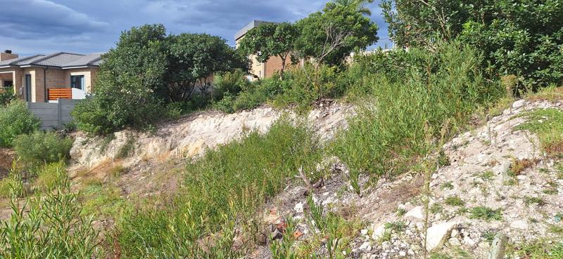 0 Bedroom Property for Sale in Bergsig Western Cape